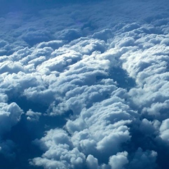 Meet your Posher, Rozlin - Picture 1 of 1